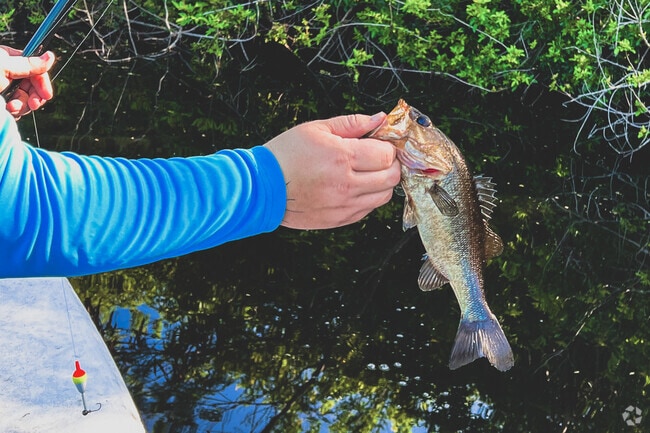 Tenoroc is nationally noted for largemouth bass and provides excellent fishing.