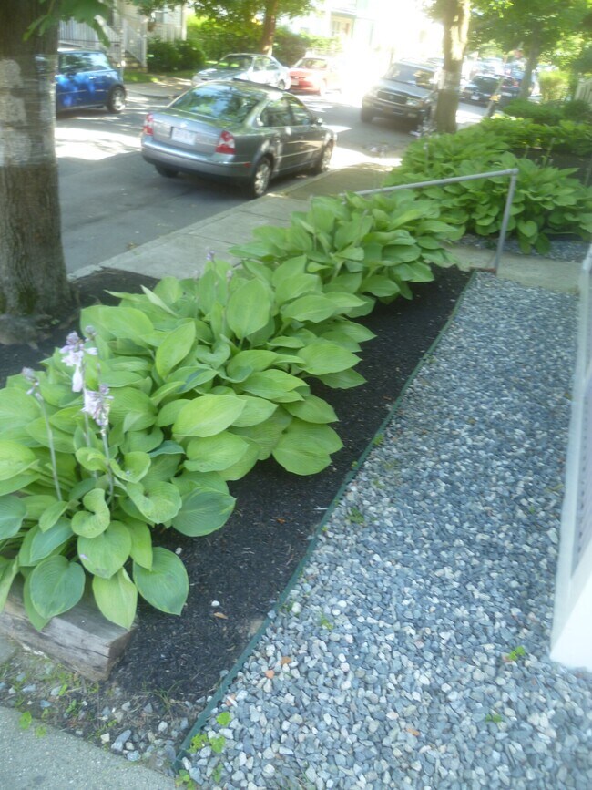 54 Hobson St unit 2, Brighton, MA 02135 - photo 6