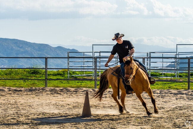 Explore the legacy of horse racing that defines Cloverdale's identity.