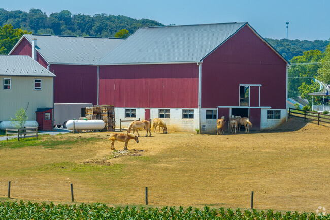 Numerous farms can be found throughout the neighborhood of Farmdale.