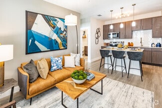 13555 Yellow Fern Way, Riverview, FL 33578