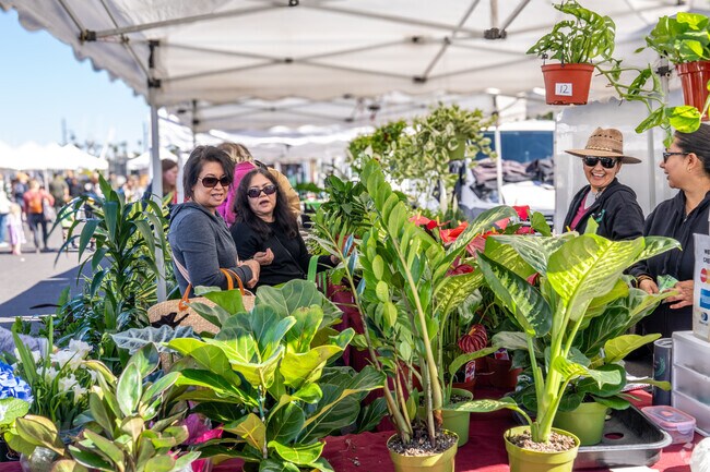 The Channel Island's Farmers Market takes place on Sundays from 10-2pm.