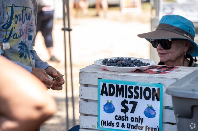 The Orange City Blueberry Festival is held annually at Valentine Park.