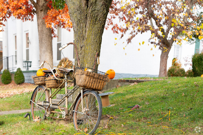 Ripley is an intimate town ideal for raising a family.