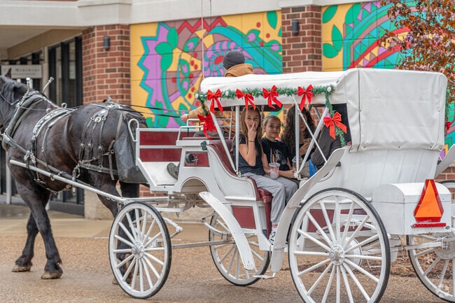 Bring the entire family to Horse and Carriage Rides at The Shoppes in North Peoria.