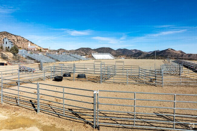The Virginia City Fairgrounds host the world-renowned International Camel & Ostrich races.