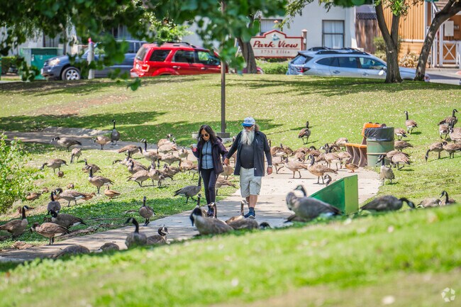 Relax and unwind in the beautiful, serene Ellis Lake community.