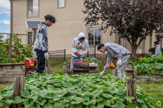Sumner-Glenwood community members work together to bring fresh produce to the neighborhood.