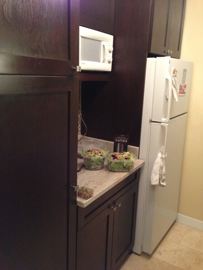 River Place South unit 540, Arlington, VA 22209 - photo 4