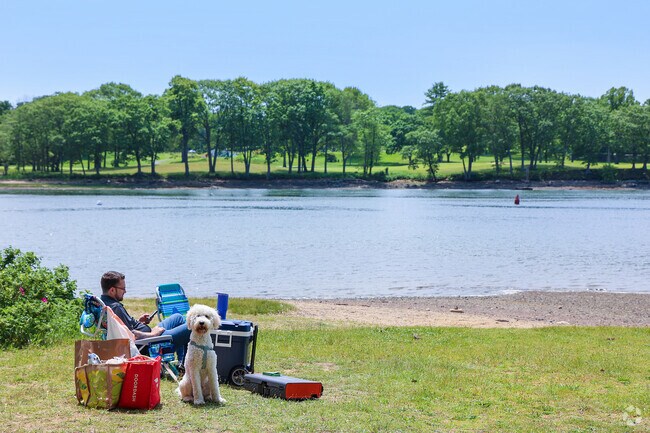 Obear Park in Ryal Side is a beautiful spot to spend a relaxing afternoon waterside with your best friend, surrounded by scenic views and gentle breezes.