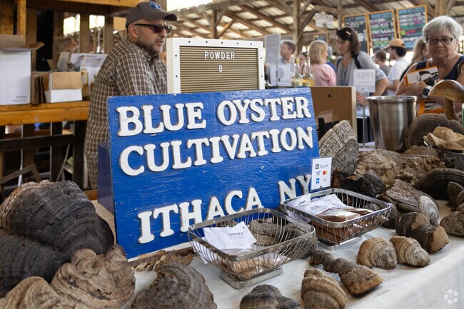 Ithaca Farmers Market near Fall Creek is open on weekends and has local appearances also.