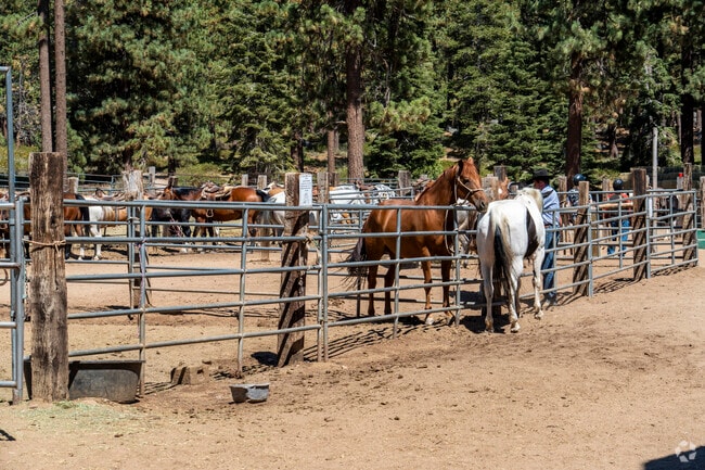 Zephyr Cove stables house many local equestrian companions and offer mountain trail access.