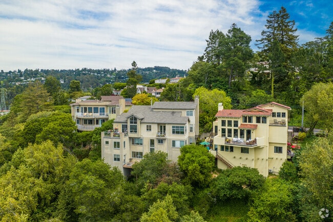 Oakmore in Oakland has luxury homes built into its hills amongst the centuries old trees.