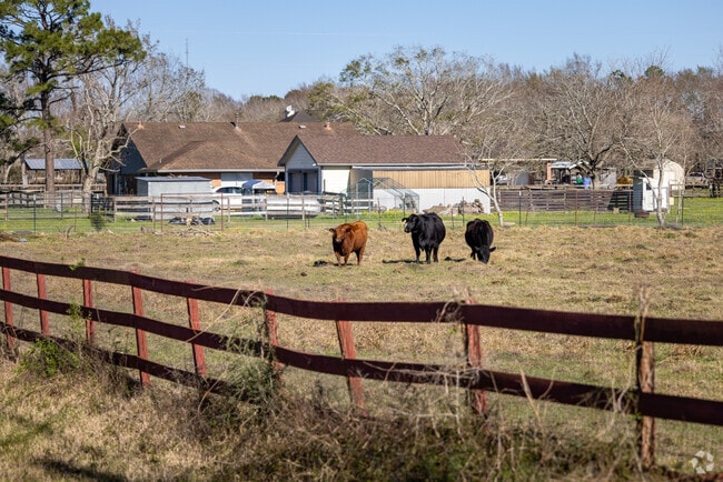 Much of Iowa Colony is still rural despite the growth in the area.