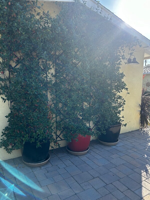 8479 Avalon Ct, Rancho Cucamonga, CA 91701 - photo 3