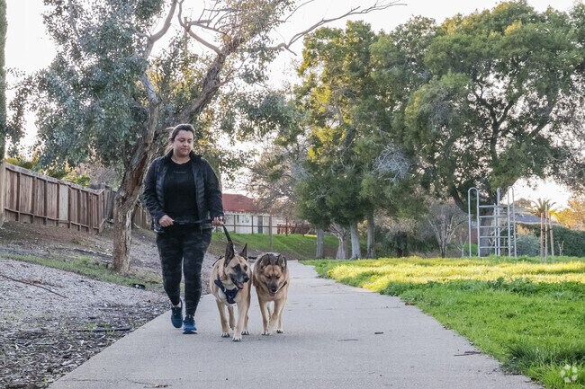 Residents enjoy green spaces and  walking their dogs in Highlands Park, Meadowbrook.