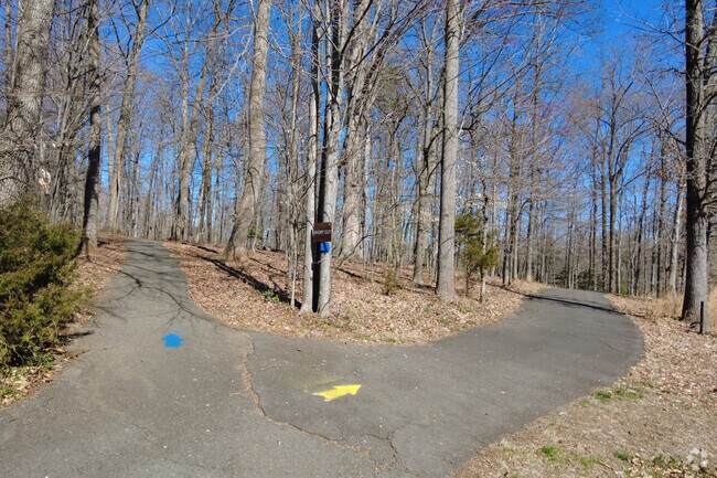 Blooms Park has tall trees along the walking trail.