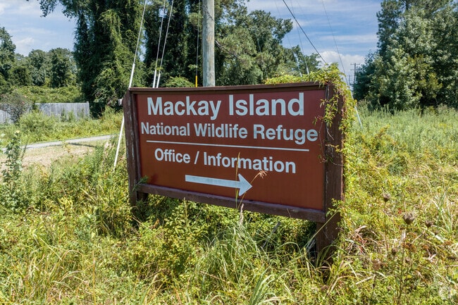 Birdwatching is popular at Mackay Island Refuge in the Knotts Island neighborhood.