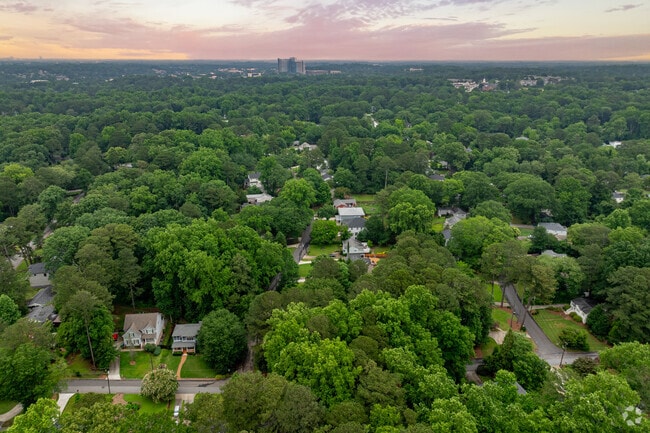 Woodland Hills truly lives up to its name, with a beautiful, dense canopy of trees that gives the area a lush, welcoming feel.