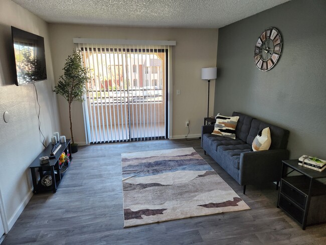1 Bedroom Living Room