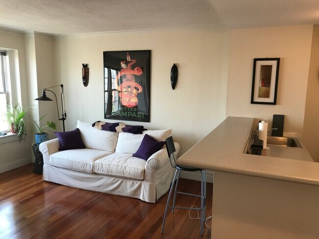 The Charlesview unit 1002, Boston, MA 02215 - photo 5