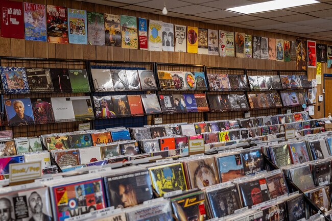 Residents can explore the vast selection of vinyl at Ragged Records in Downtown Rock Island.