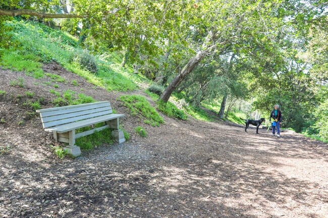 Oak Grove Park is adjacent to the Lakeshore neighborhood and offers a great place for a walk.