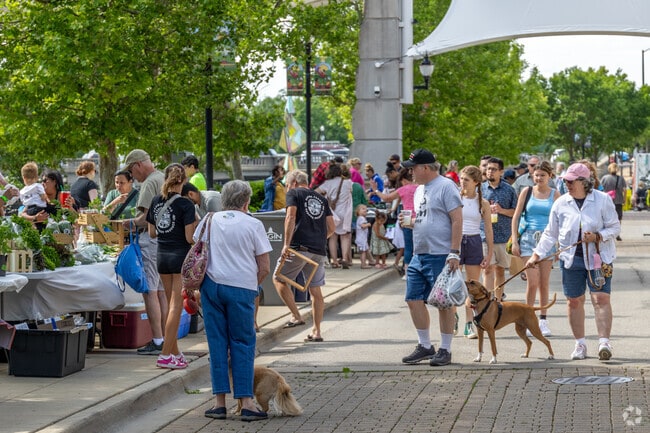 Downtown Elgin residents enjoy a day out at the Downtown Elgin Market.