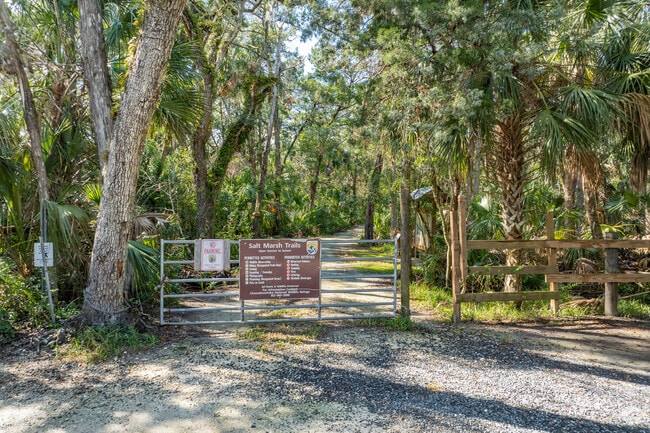 Hike into the Salt Marsh Trail for an adventure in Homosassa.