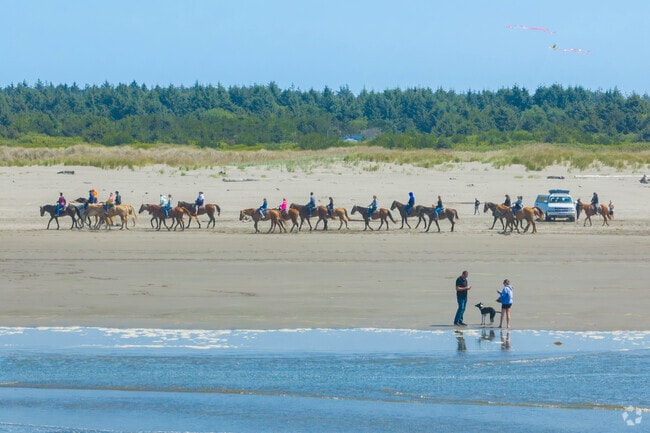Take a short trip from Moclips to Ocean Shores for a horseback riding lesson.