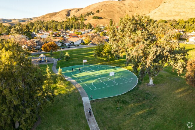 Have a round of basketball with your friends at Buena Vista Park.