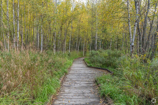 Helen Louise McDowell Sanctuary in Tudor Area offers scenic wetland boardwalks.