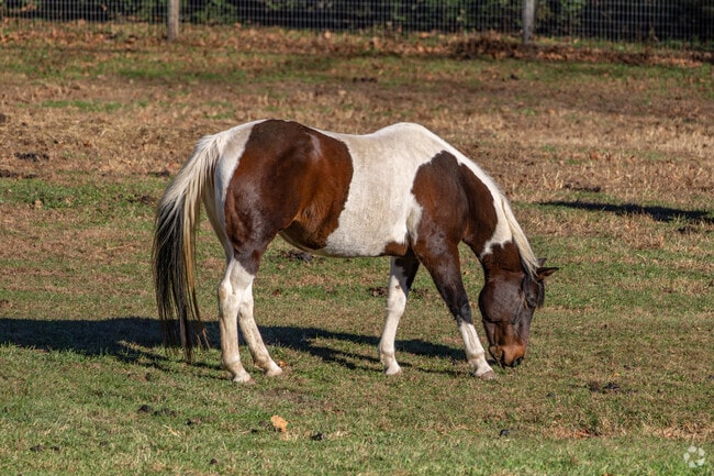 Small family-run farms dot the landscape in Anthony, Pennsylvania.