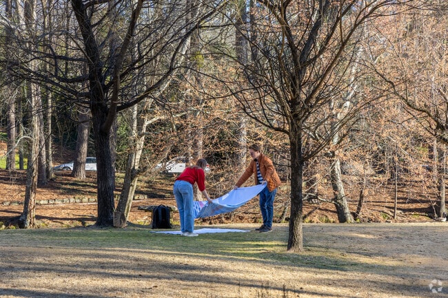 A couple prepares a picnic at Duck Pond Park in Peachtree Heights.