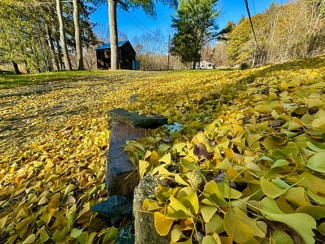 4502 State Rt 17b, Callicoon, NY 12723