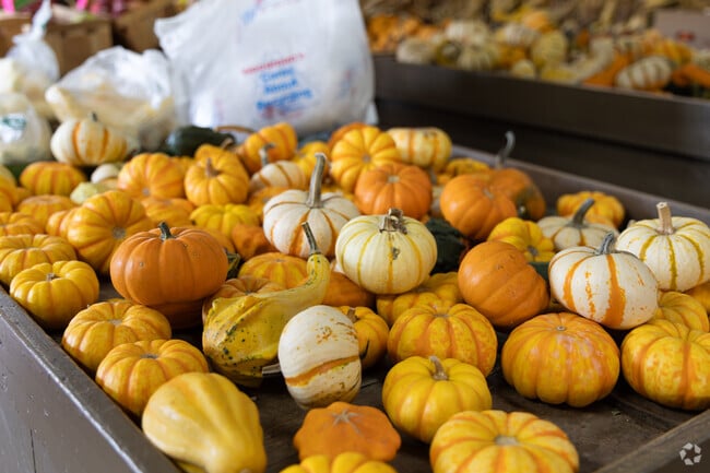 Fresh farm fruits and veggies can be found throughout Mill Creek.