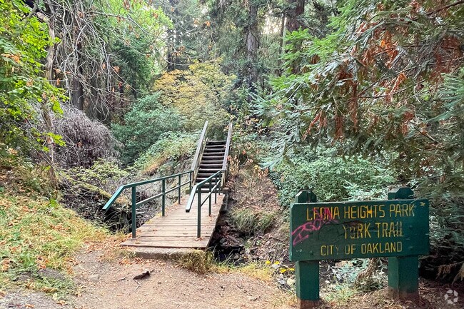 Enjoy a brisk morning walk at Leona Heights Park in Caballo Hills.