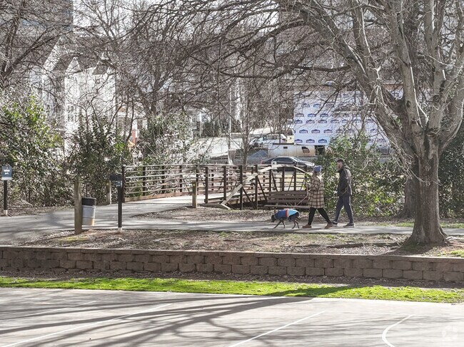 Dogwalking is popular at Frazier Park in Charlotte.