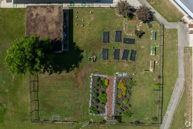 Students learn the basics of gardening at Alachua Elementary School.
