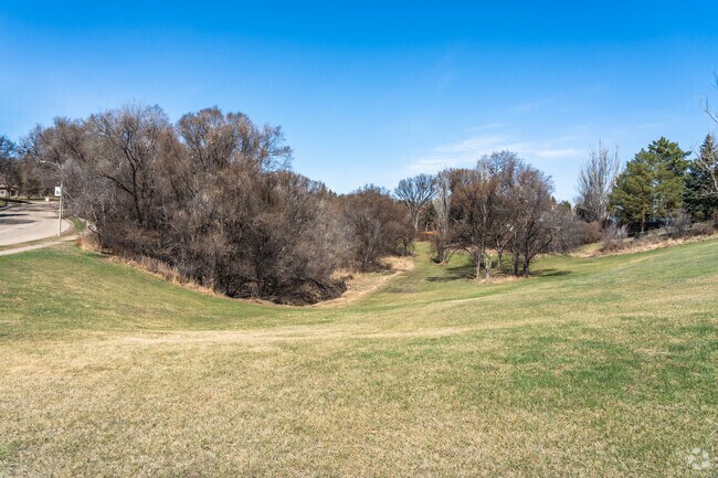 The hilly green landscape at Highland Acres Park is great for kids and pets to run and play.