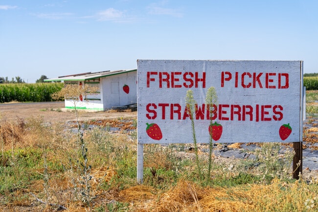 Fresh-picked strawberries are a spring staple at Kings County farm stands.