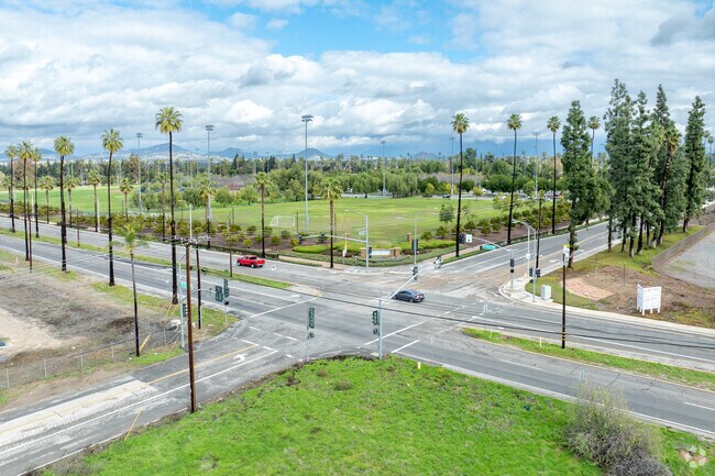 Palm Trees and farmland, Arlington Heights offers peace and local love.