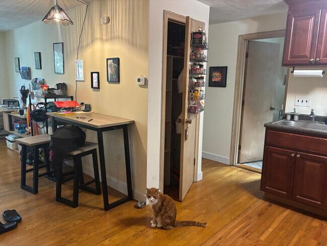 443 Washington St unit 404, Boston, MA 02124 - photo 4