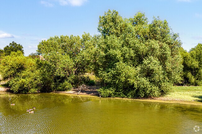 Birdwatchers love West Davis Pond.