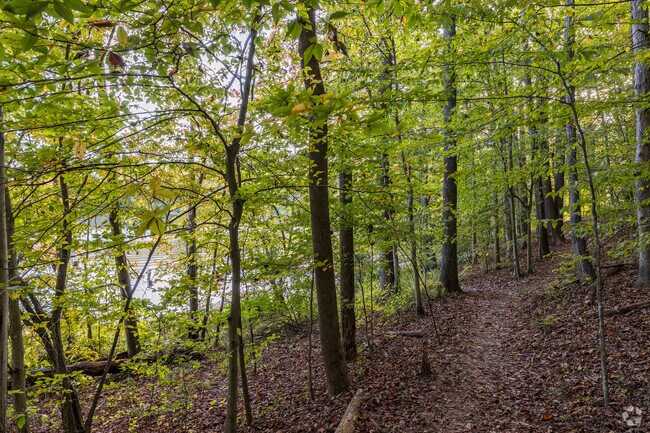 REsidents can hike on the Bull Run Occoquan Trail in Buckhall.