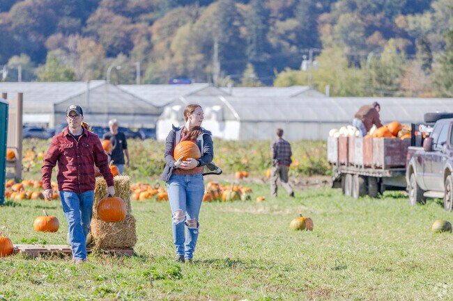 Pick your pumpkins at Shilters Family Farm Fall Festival in Nisqually.
