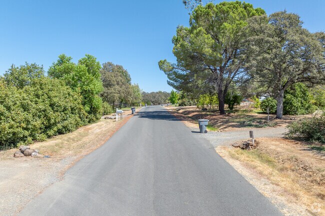 The streets of Loma Rica are lined with mature trees.
