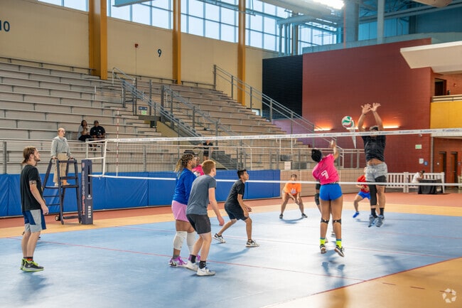 Play a pick up game of volleyball at the Birmingham Cross Plex in Central Park.