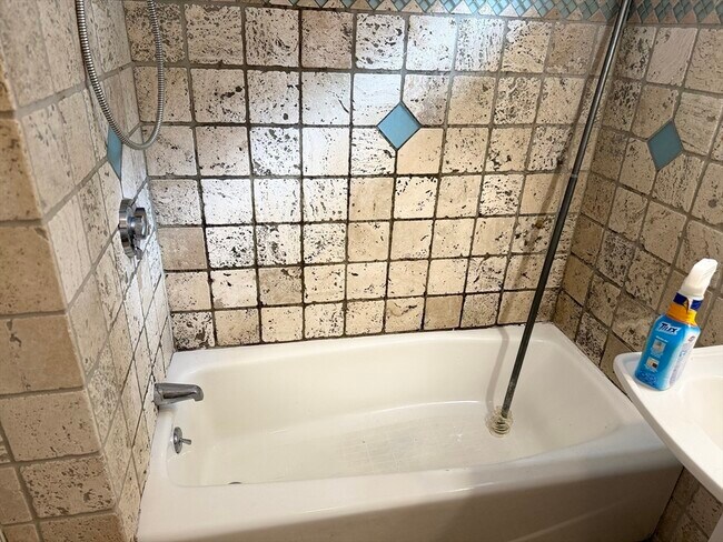 24 Duval St unit 1, Brighton, MA 02135 - photo 4