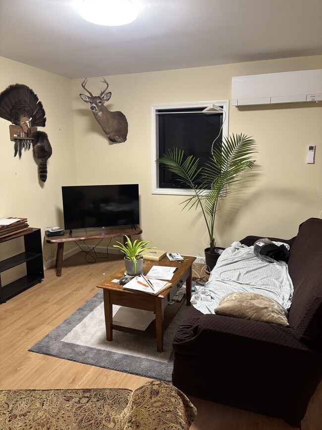 1177 Main St unit 3, Fairfax, VT 05454 - photo 3